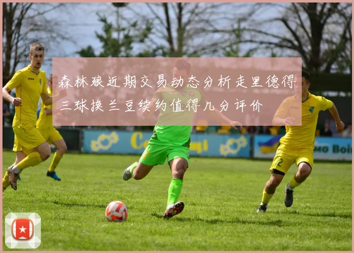 森林狼近期交易动态分析走里德得三球换兰豆续约值得几分评价